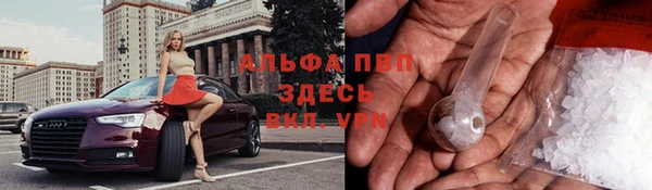 стафф Алексеевка