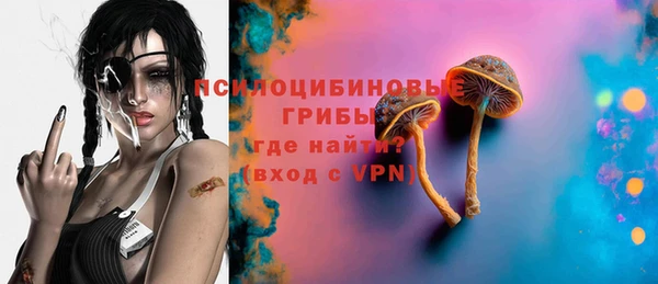 стафф Алексеевка