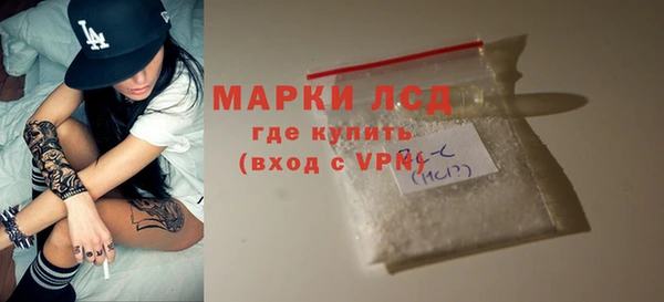 стафф Алексин