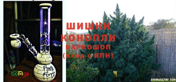 стафф Алексин