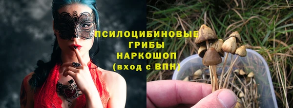 стафф Алексин