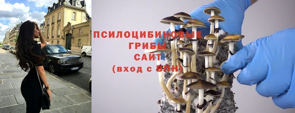 кокс Дмитриев